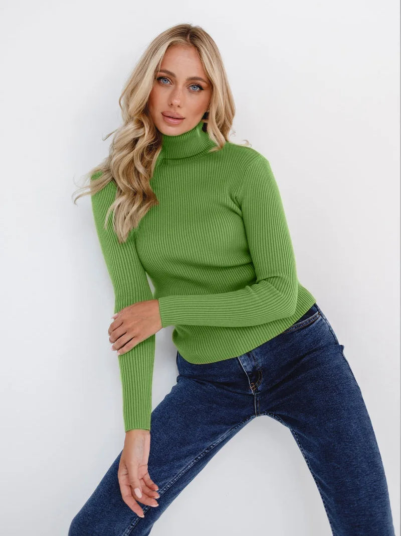 Élan Classic Turtleneck Knit Sweater