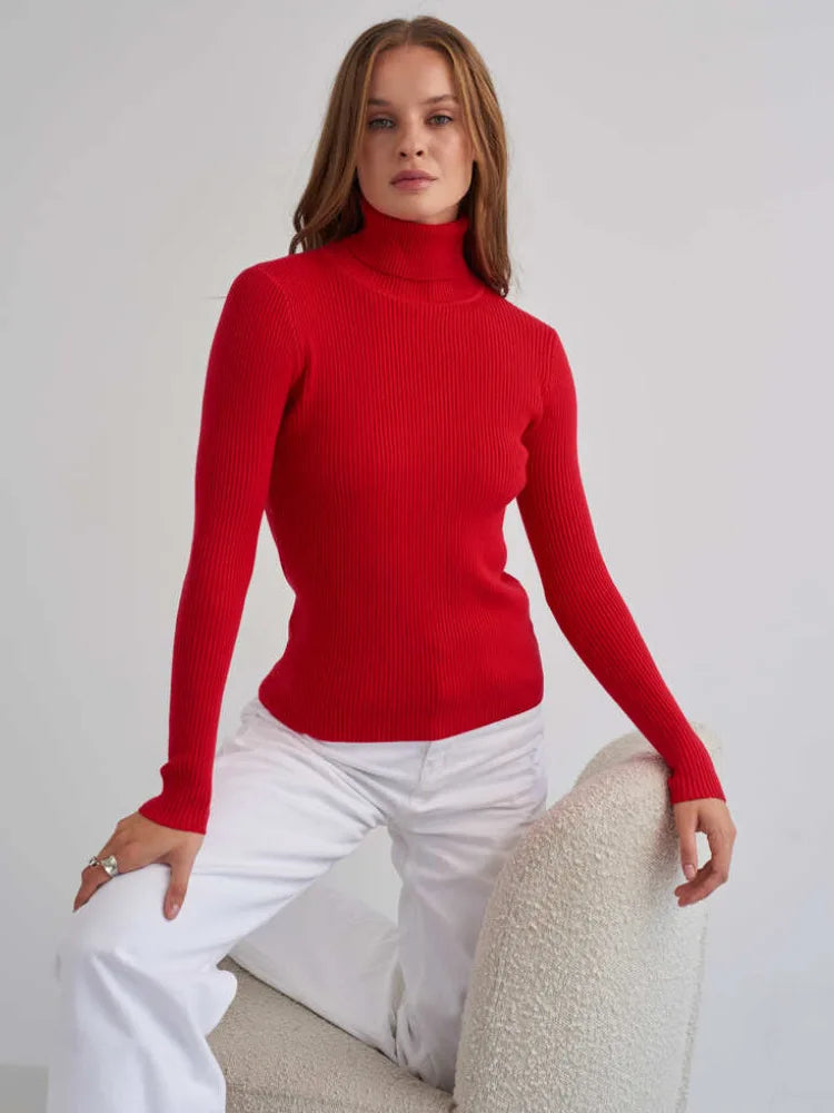 Élan Classic Turtleneck Knit Sweater