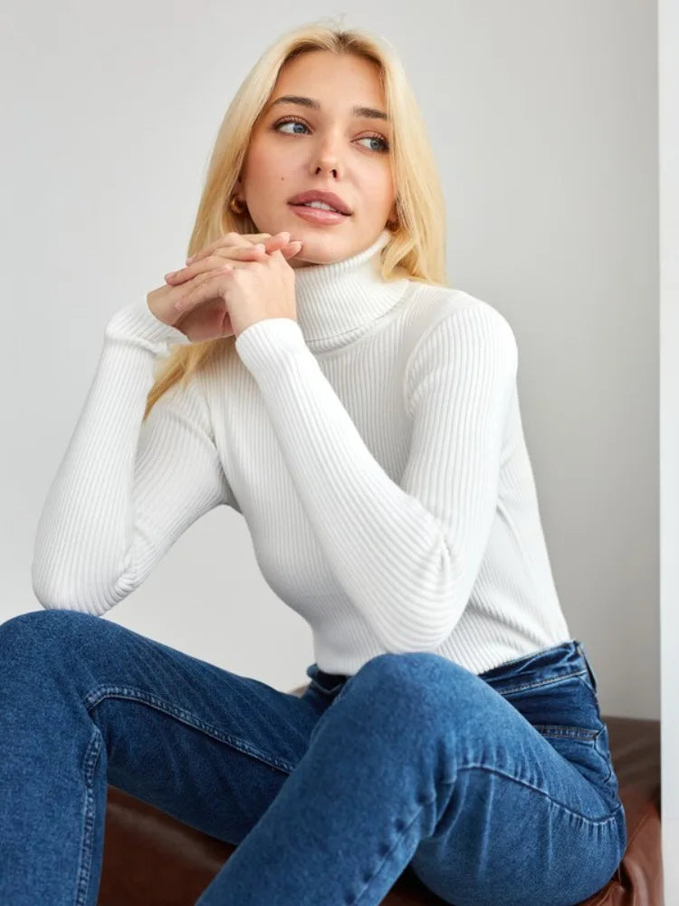 Élan Classic Turtleneck Knit Sweater